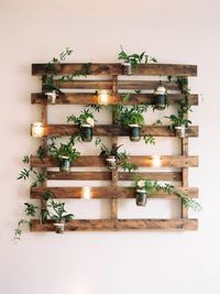 DECORACI&Oacute;N